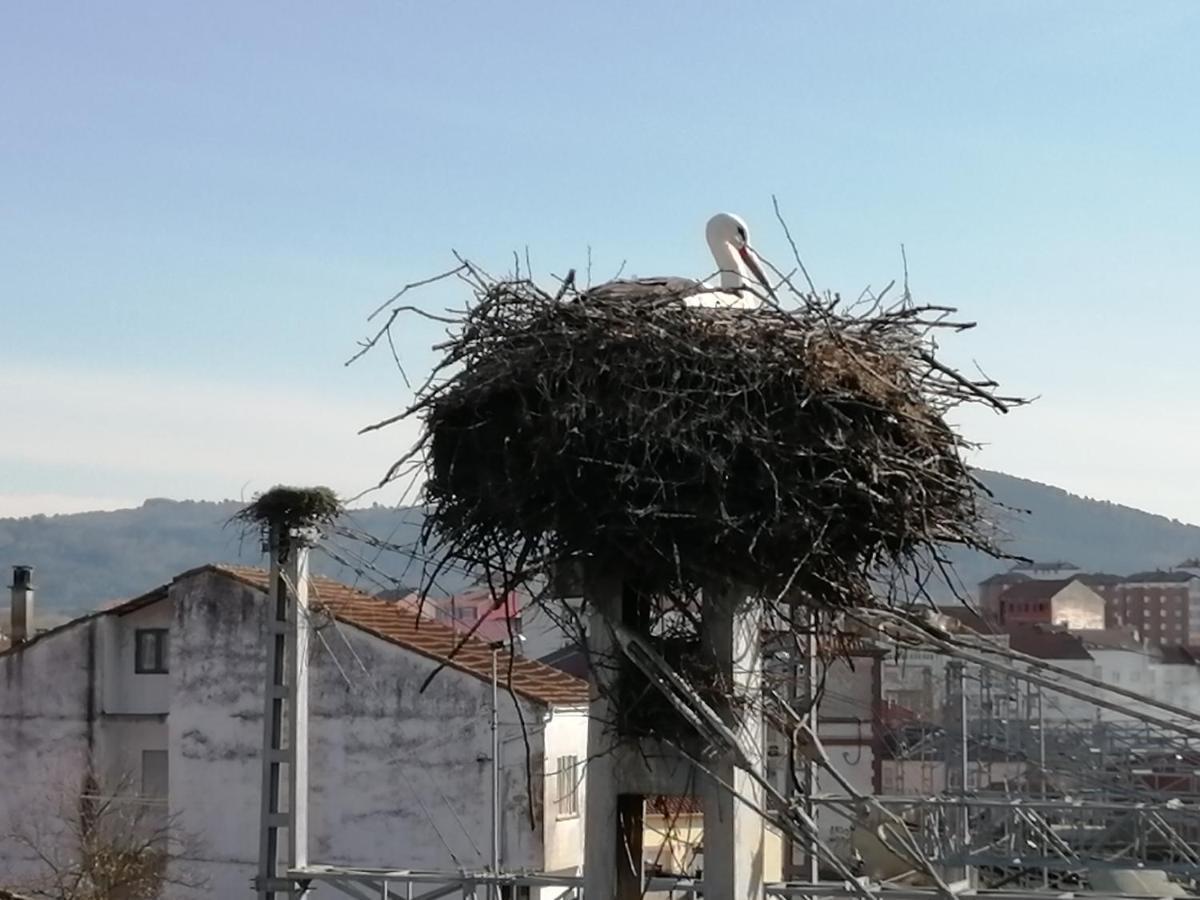 Apartamento Lemavos Monforte De Lemos Exterior foto